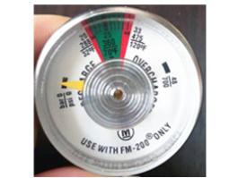 white FM200 pressure gauge 